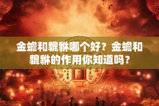 金蟾和貔貅哪个好？金蟾和貔貅的作用你知道吗？