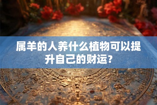 属羊的人养什么植物可以提升自己的财运？