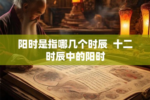 阳时是指哪几个时辰  十二时辰中的阳时
