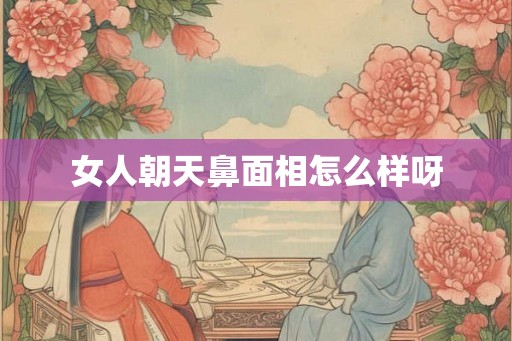 女人朝天鼻面相怎么样呀