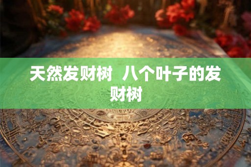 天然发财树  八个叶子的发财树