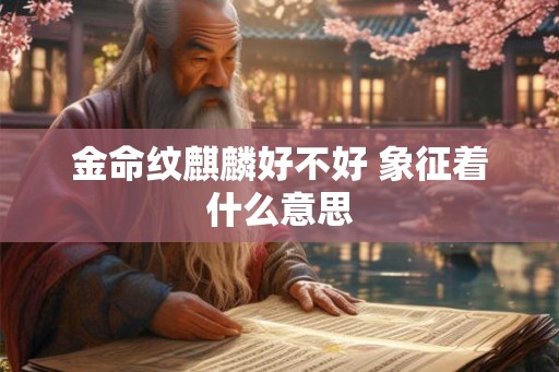 金命纹麒麟好不好 象征着什么意思