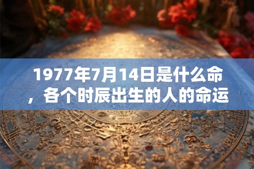 1977年7月14日是什么命，各个时辰出生的人的命运