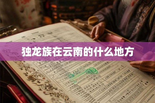 独龙族在云南的什么地方