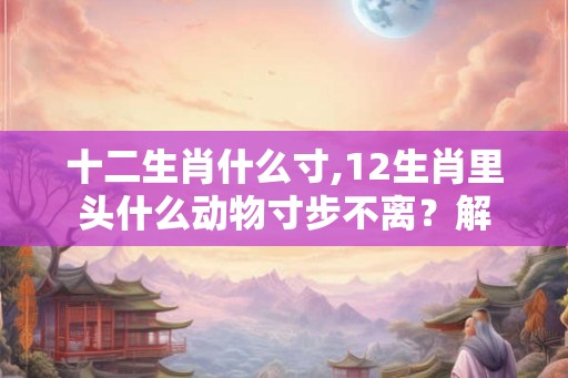 十二生肖什么寸,12生肖里头什么动物寸步不离？解
