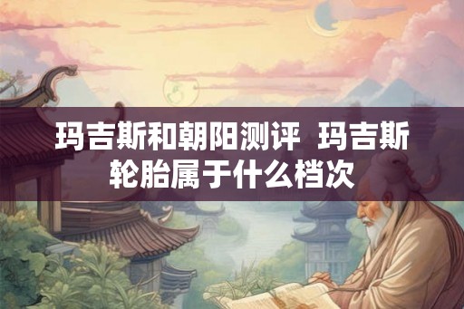 玛吉斯和朝阳测评  玛吉斯轮胎属于什么档次