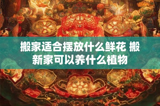 搬家适合摆放什么鲜花 搬新家可以养什么植物