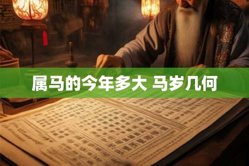 属马的今年多大 马岁几何