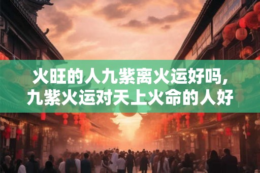 火旺的人九紫离火运好吗,九紫火运对天上火命的人好吗