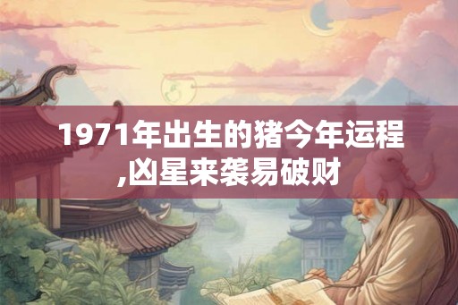 1971年出生的猪今年运程,凶星来袭易破财