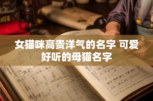 女猫咪高贵洋气的名字 可爱好听的母猫名字 女猫咪高贵洋气的名字 可爱好听的母猫名字