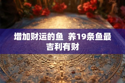 增加财运的鱼  养19条鱼最吉利有财