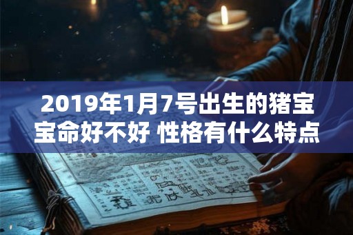 2019年1月7号出生的猪宝宝命好不好 性格有什么特点 2019年1月7号出生的猪宝宝命好不好 性格有什么特点