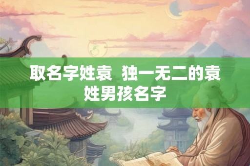 取名字姓袁  独一无二的袁姓男孩名字