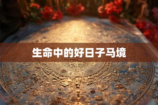 生命中的好日子马境
