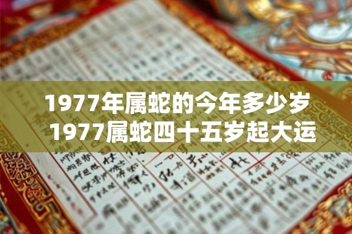 1977年属蛇的今年多少岁  1977属蛇四十五岁起大运