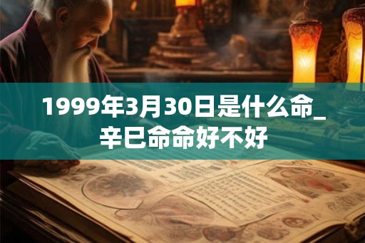 1999年3月30日是什么命_辛巳命命好不好