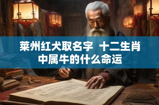 莱州红犬取名字  十二生肖中属牛的什么命运