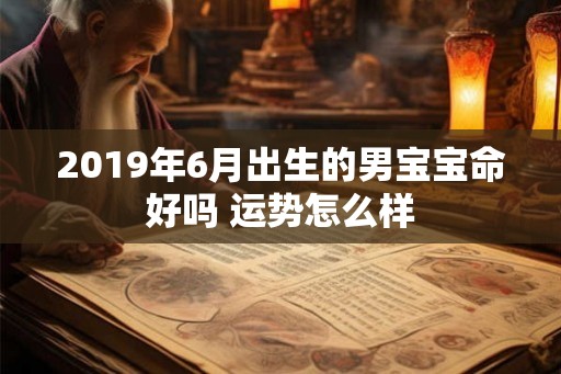 2019年6月出生的男宝宝命好吗 运势怎么样