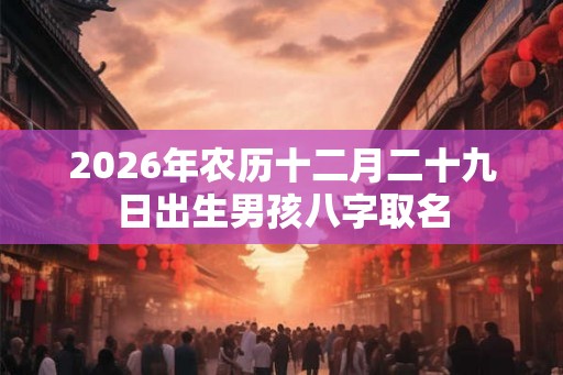 2026年农历十二月二十九日出生男孩八字取名