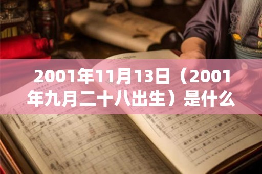 2001年11月13日（2001年九月二十八出生）是什么命_命运如何