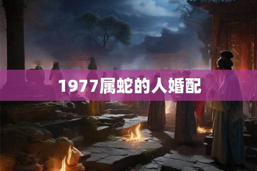 1977属蛇的人婚配