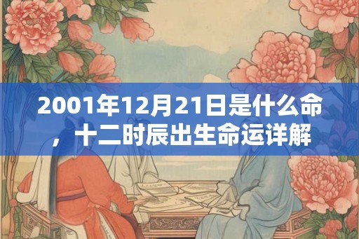 2001年12月21日是什么命，十二时辰出生命运详解