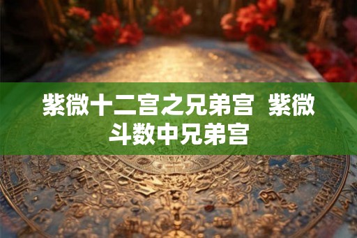 紫微十二宫之兄弟宫  紫微斗数中兄弟宫