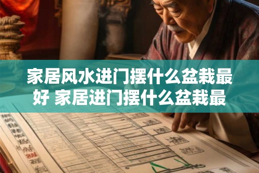 家居风水进门摆什么盆栽最好 家居进门摆什么盆栽最好