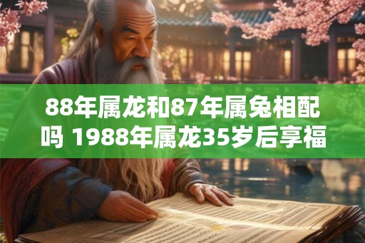 88年属龙和87年属兔相配吗 1988年属龙35岁后享福