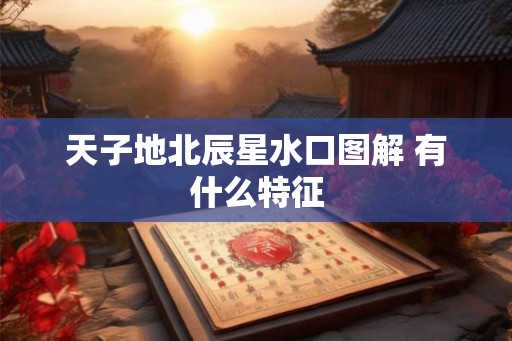 天子地北辰星水口图解 有什么特征