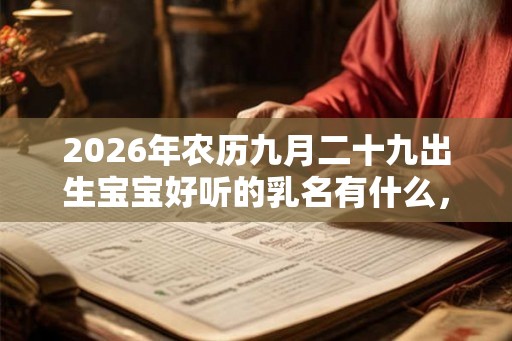 2026年农历九月二十九出生宝宝好听的乳名有什么，其性格如何？