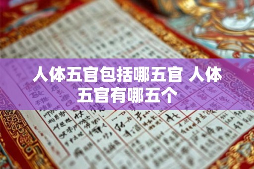 人体五官包括哪五官 人体五官有哪五个