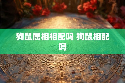 狗鼠属相相配吗 狗鼠相配吗 狗鼠属相相配吗 狗鼠相配吗
