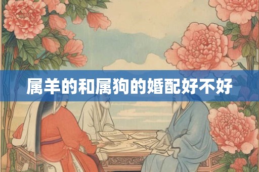 属羊的和属狗的婚配好不好