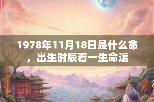 1978年11月18日是什么命，出生时辰看一生命运