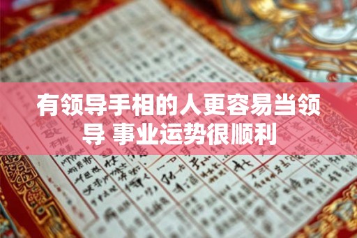 有领导手相的人更容易当领导 事业运势很顺利