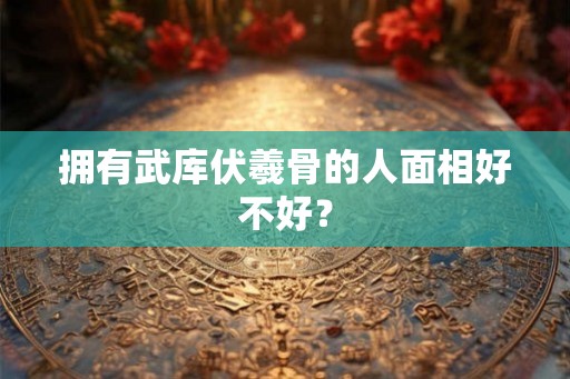 拥有武库伏羲骨的人面相好不好？