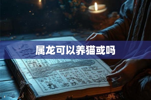 属龙可以养猫或吗