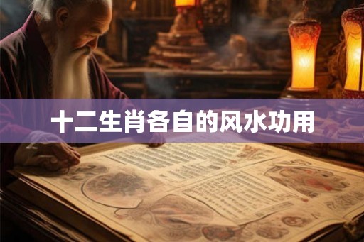 十二生肖各自的风水功用