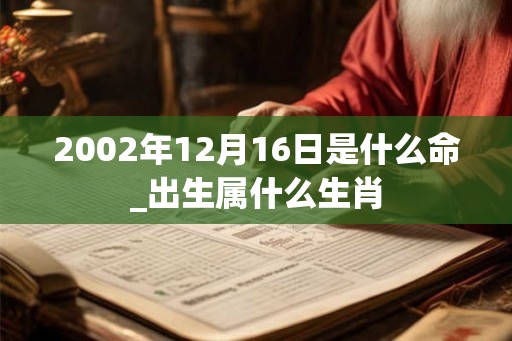 2002年12月16日是什么命_出生属什么生肖
