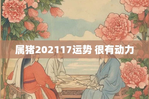 属猪202117运势 很有动力
