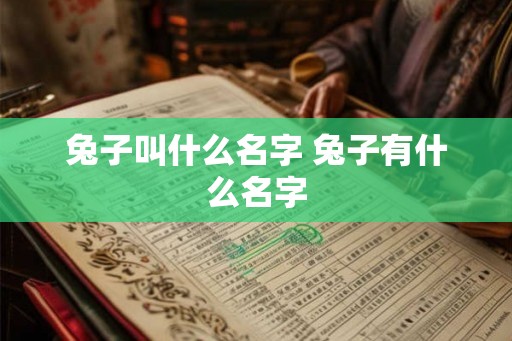 兔子叫什么名字 兔子有什么名字 兔子叫什么名字 兔子有什么名字