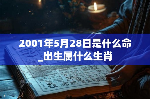 2001年5月28日是什么命_出生属什么生肖 2001年5月28日是什么命_出生属什么生肖