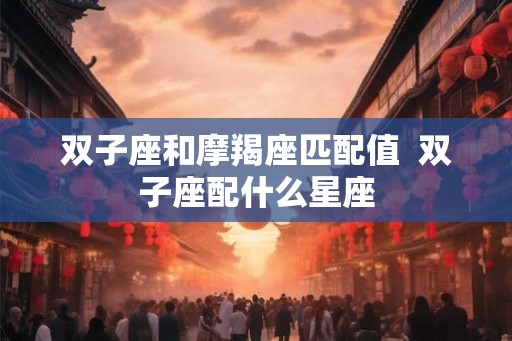 双子座和摩羯座匹配值  双子座配什么星座