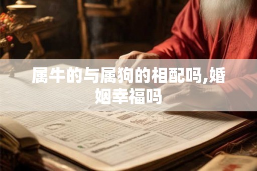 属牛的与属狗的相配吗,婚姻幸福吗