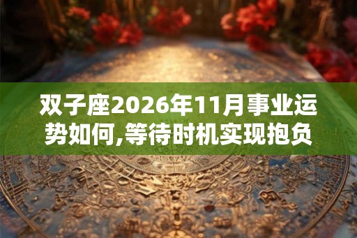 双子座2026年11月事业运势如何,等待时机实现抱负
