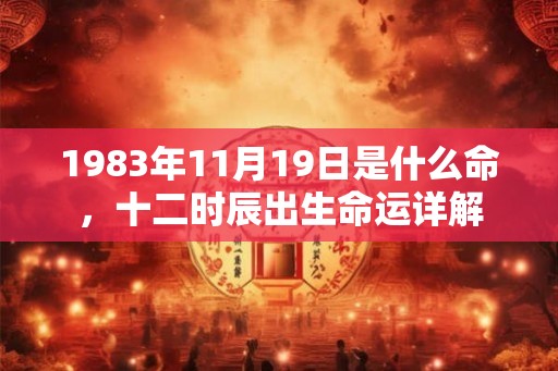 1983年11月19日是什么命，十二时辰出生命运详解