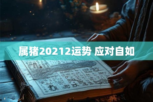 属猪20212运势 应对自如