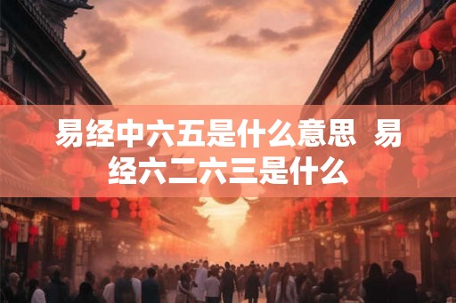 易经中六五是什么意思  易经六二六三是什么